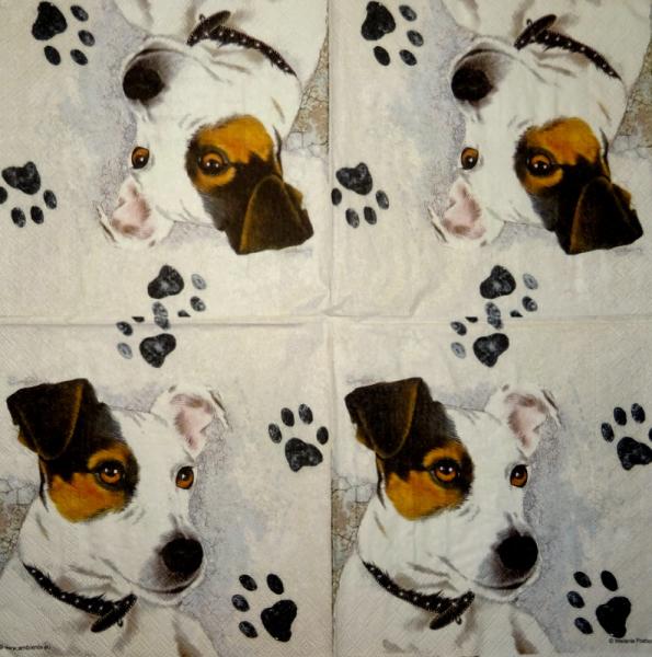 HUN-230 Hunde - 3-lagig - Ambiente